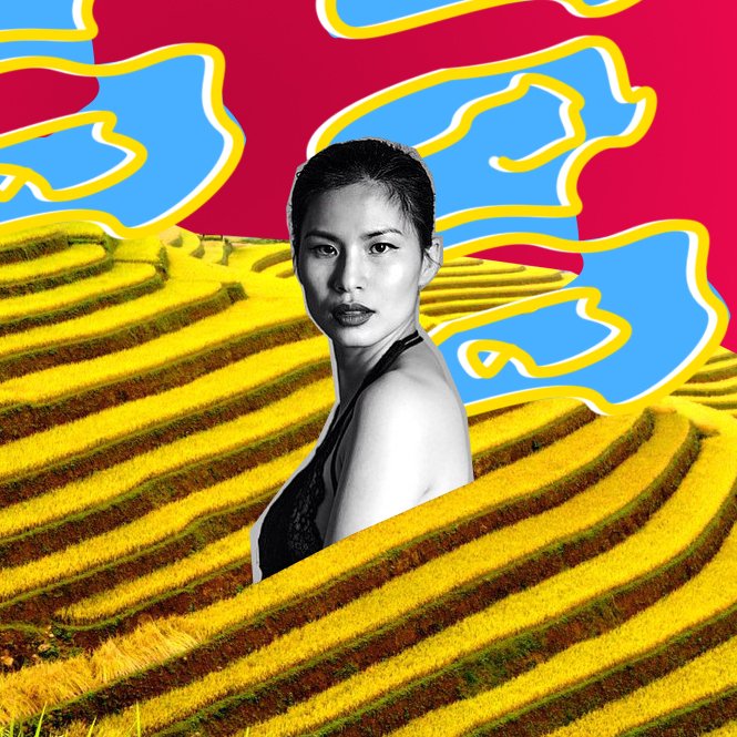 THE TALE OF THUY DESIGN HOUSE
