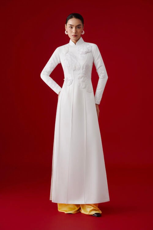 AODAI