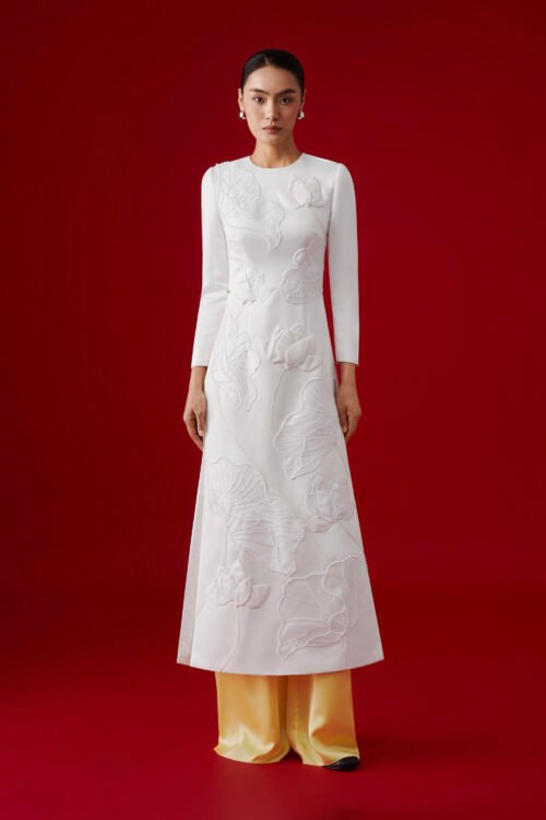 AODAI