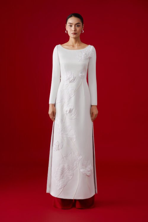 AODAI