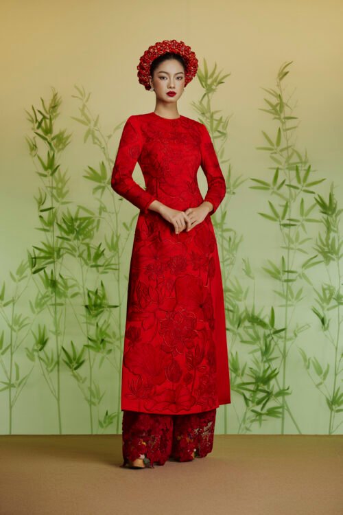 AODAI