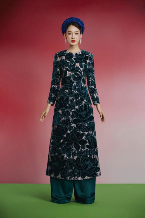 AODAI