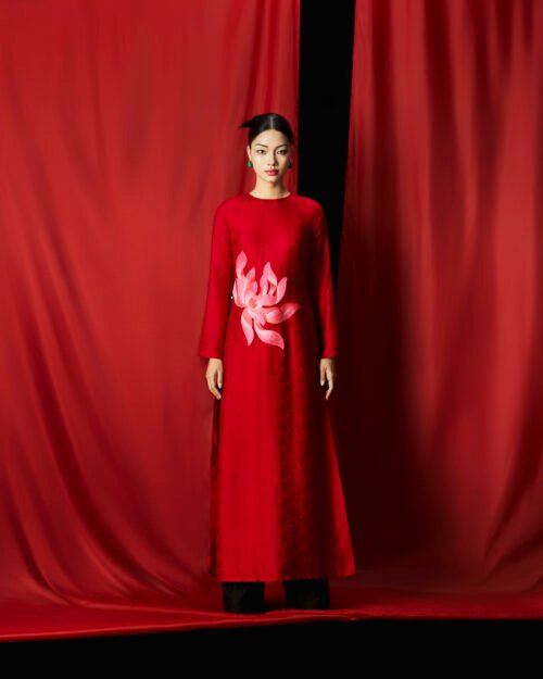 AODAI